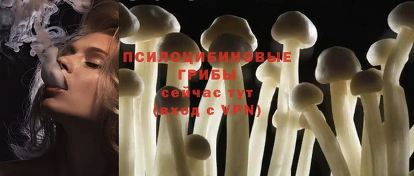 бошки Абинск