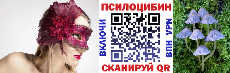 Галлюциногенные грибы Psilocybine cubensis  как найти наркотики  mega онион  Иркутск 