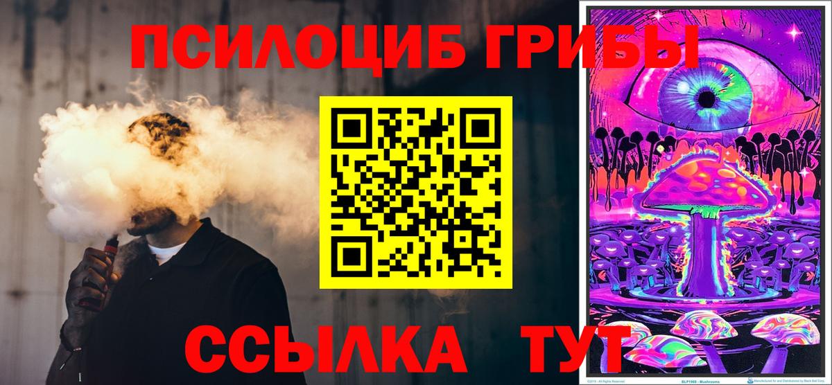 Галлюциногенные грибы мицелий  Галлюциногенные грибы мицелий  купить закладку  Иркутск  Вход с VPN 